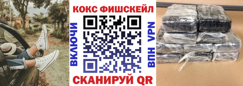 Купить  Сусуман  COCAIN 97% 