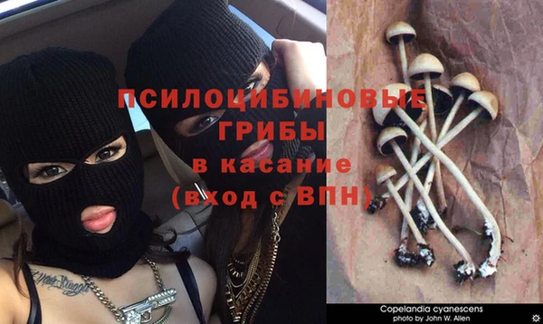 кокаин VHQ Балахна