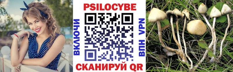 Псилоцибиновые грибы мухоморы  Купить  Сусуман 